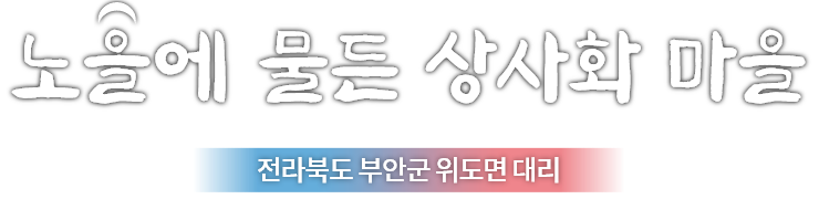 노을에 물든 상사화 마을
